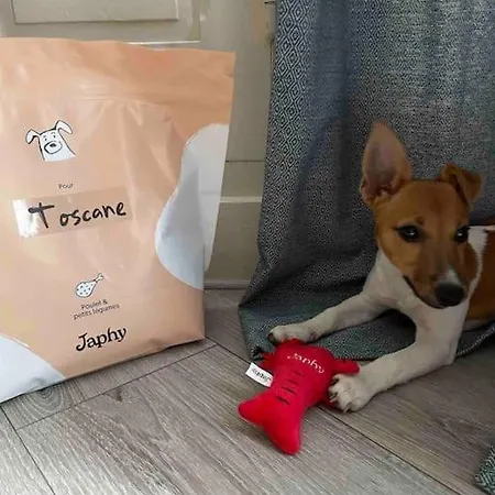 Maison De Charme Homestay Roches-Premarie-Andille