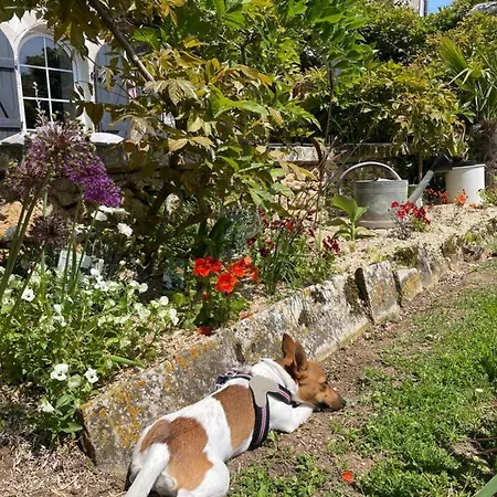 Homestay Maison De Charme Roches-Premarie-Andille