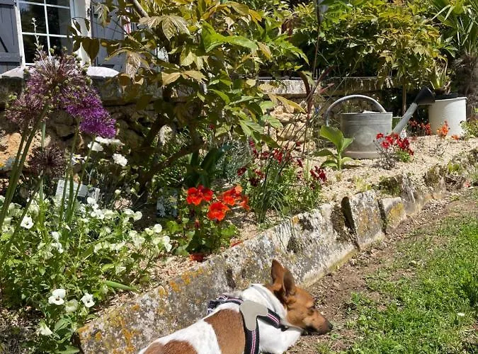 民宿 Maison De Charme Roches-Premarie-Andille